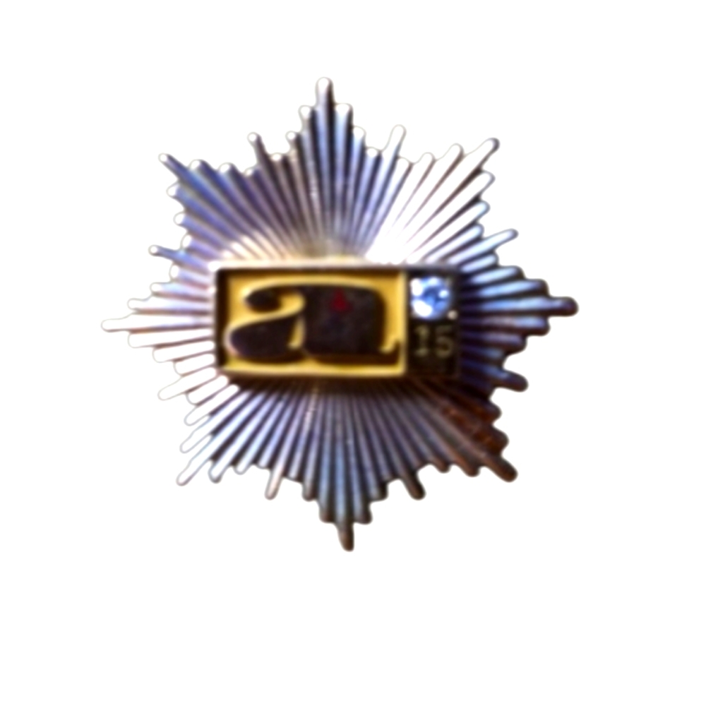 10k Diamond Pin